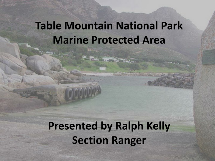 table mountain national park marine protected area n.w
