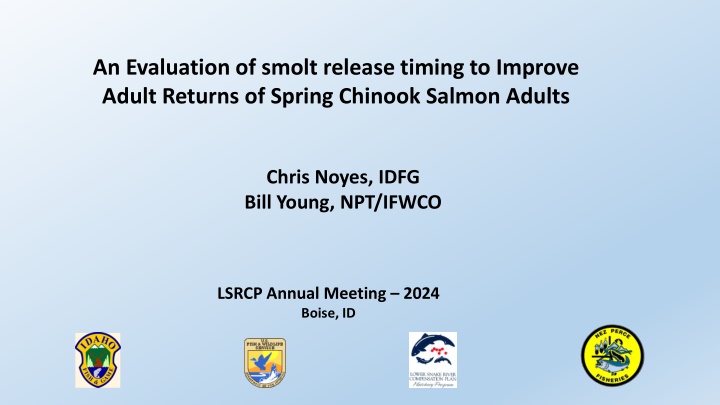 an evaluation of smolt release timing to improve n.w