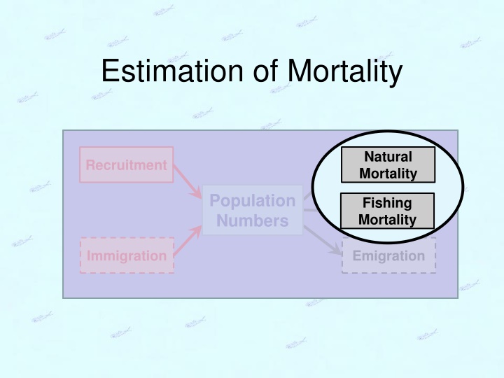 estimation of mortality n.w