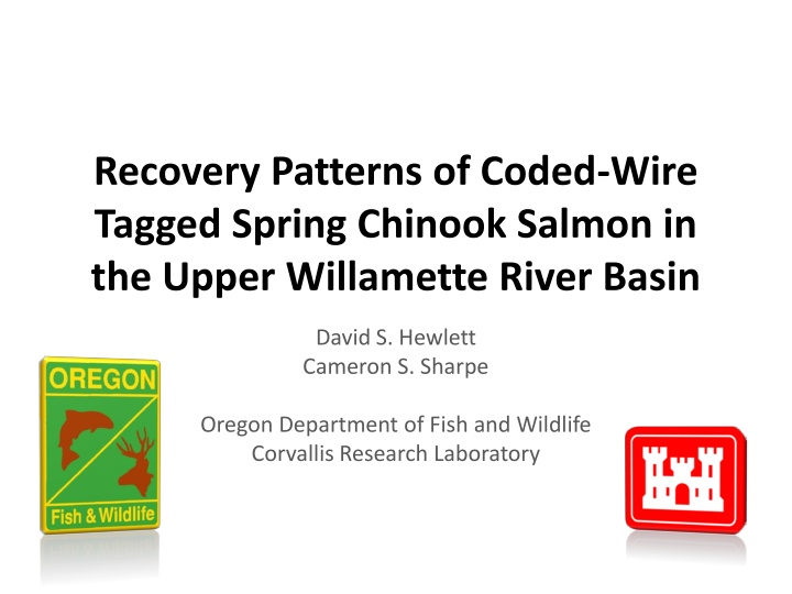 recovery patterns of coded wire tagged spring n.w