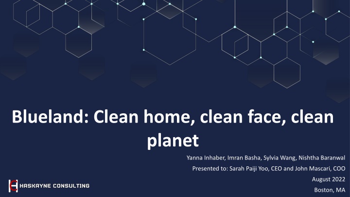 blueland clean home clean face clean planet n.w