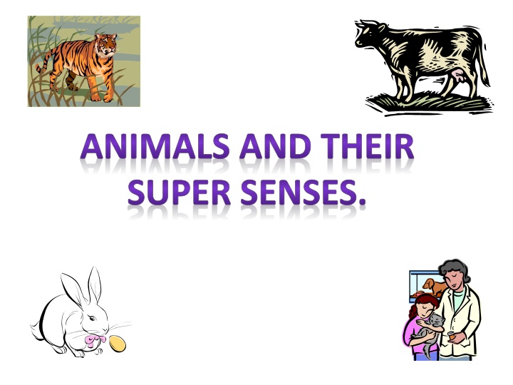 animals and their super senses n.w