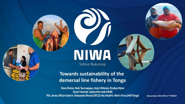 towards sustainability of the demersal line n.w
