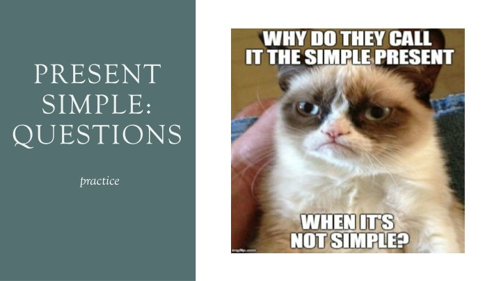 Present Simple Questions Practice Lesson Plan