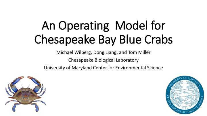 an operating model for an operating model n.w