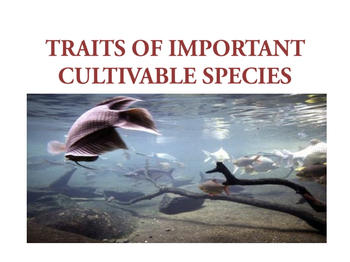 slide1 n.w