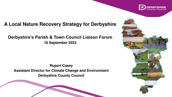 a local nature recovery strategy for derbyshire n.w