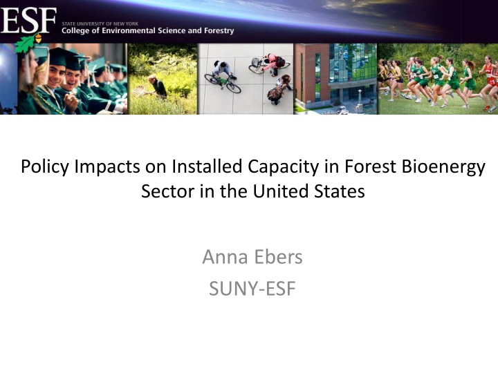 policy impacts on installed capacity in forest n.w