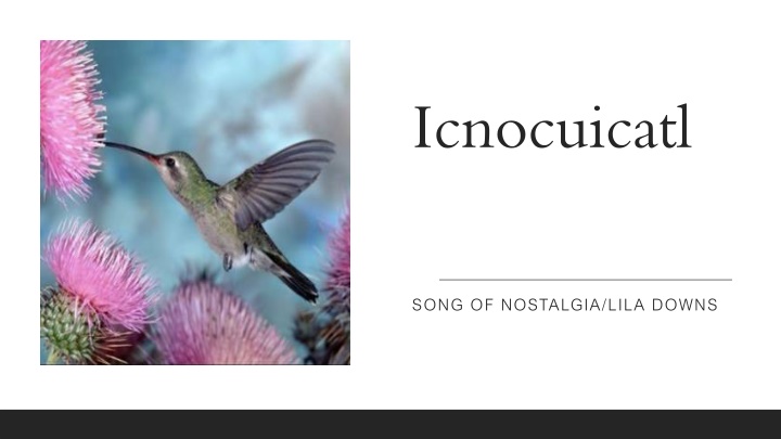 icnocuicatl n.w
