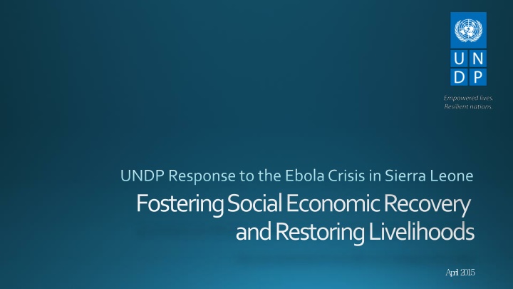 UNDP Response to the Ebola Crisis in Sierra Leone - Fostering Social Economic Recovery