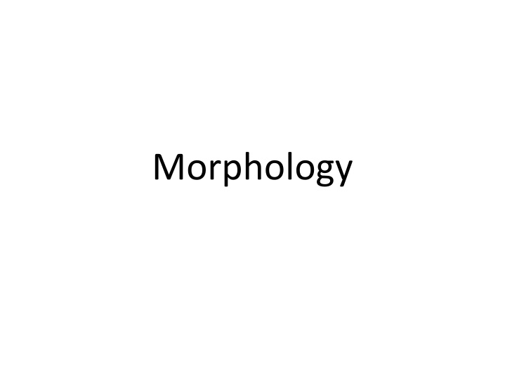 morphology n.w