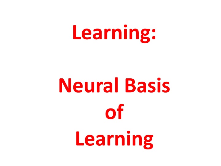Neural Basis of Learning: Mirror Neurons and Biological Constraints