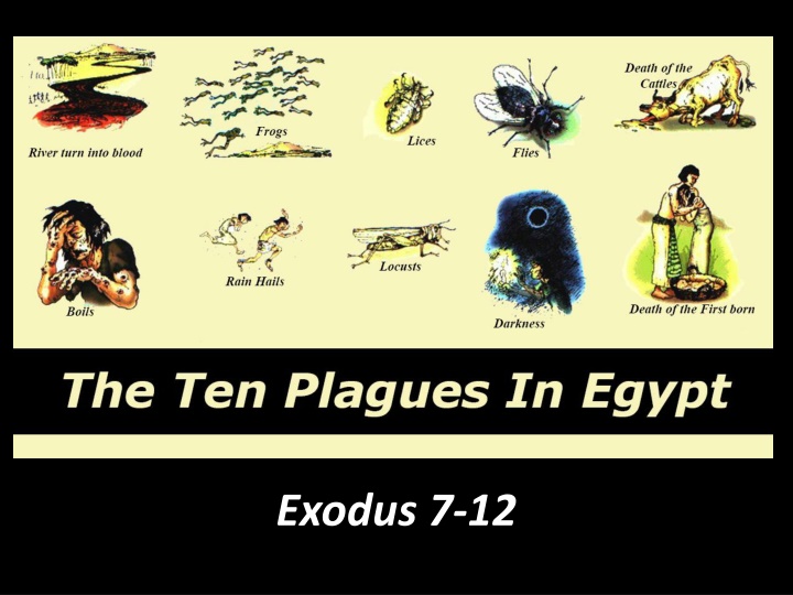 the plagues of egypt n.w