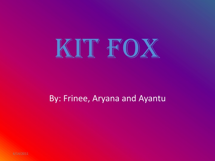 kit fox n.w