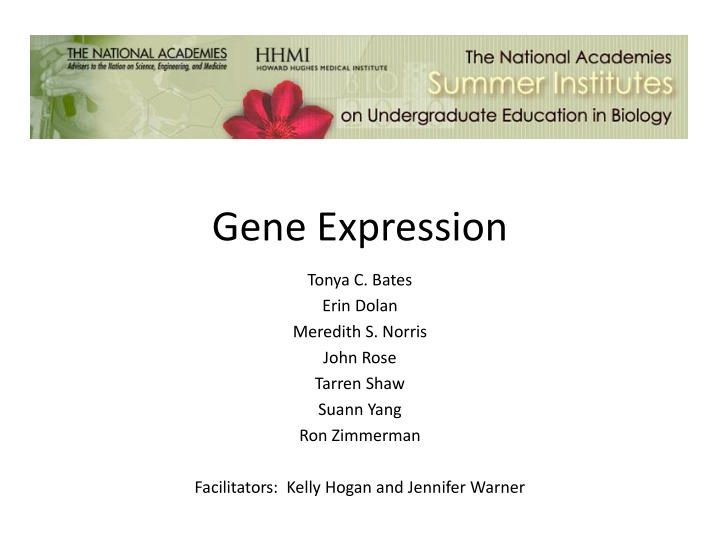 gene expression n.w