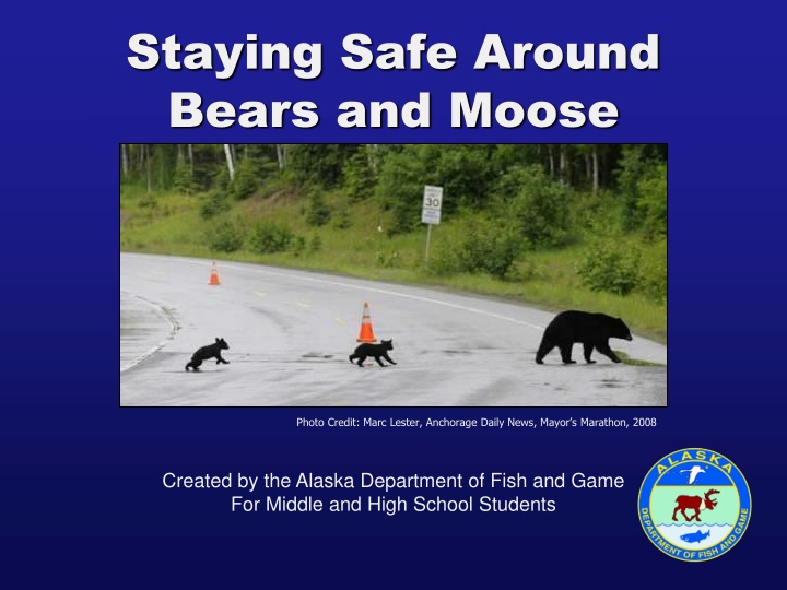 Staying Safe Around Bears and Moose - Wildlife Safety Tips
