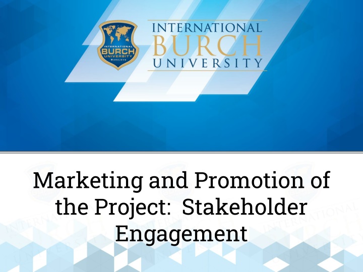 Strategic Stakeholder Engagement Plan