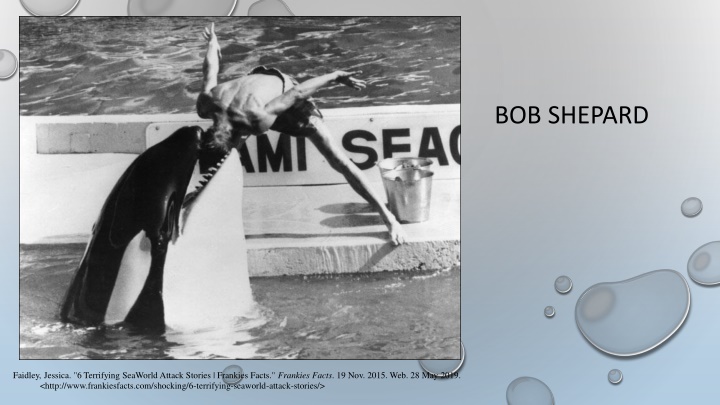 bob shepard n.w
