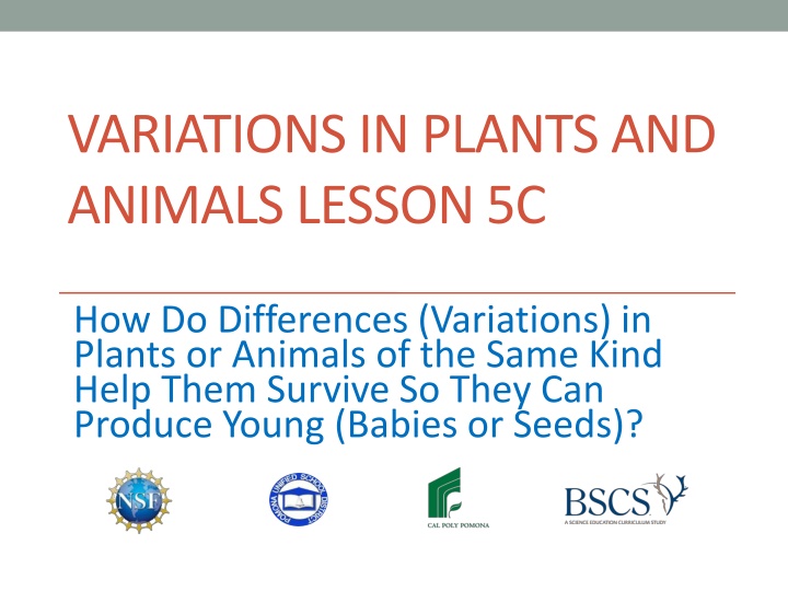 variations in plants and animals lesson 5c n.w