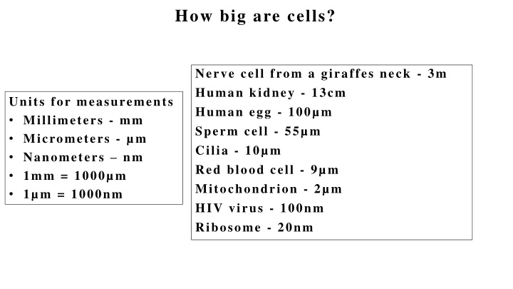 how big are cells n.w