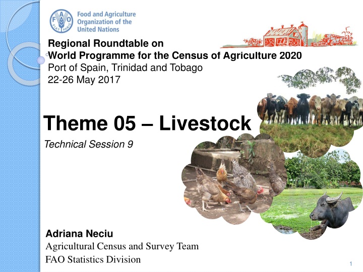 regional roundtable on world programme n.w