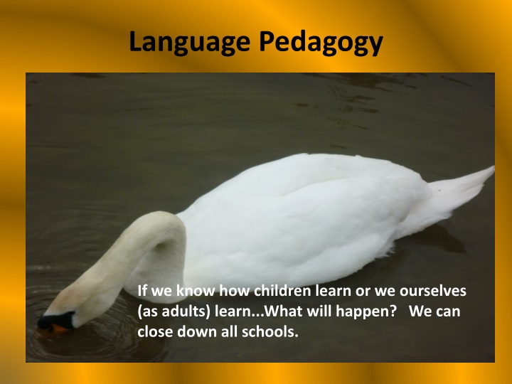 language pedagogy n.w