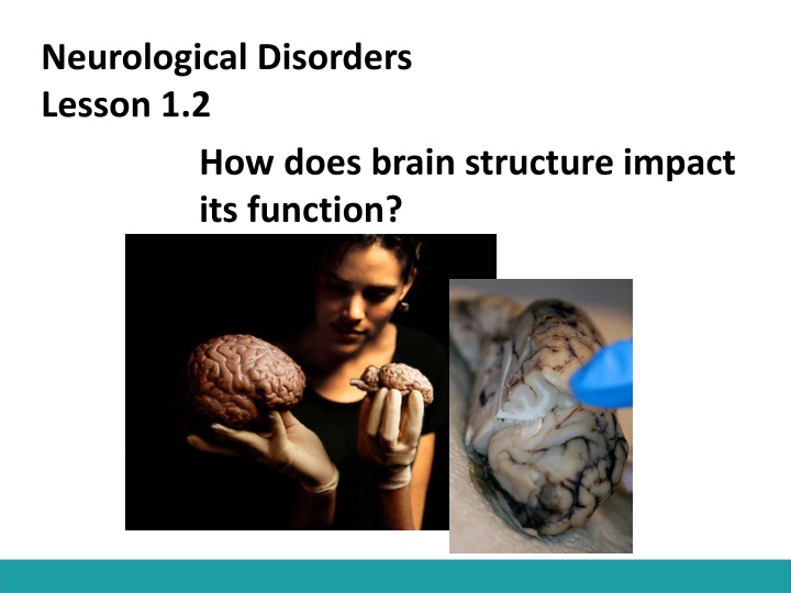 neurological disorders lesson 1 2 how does brain n.w