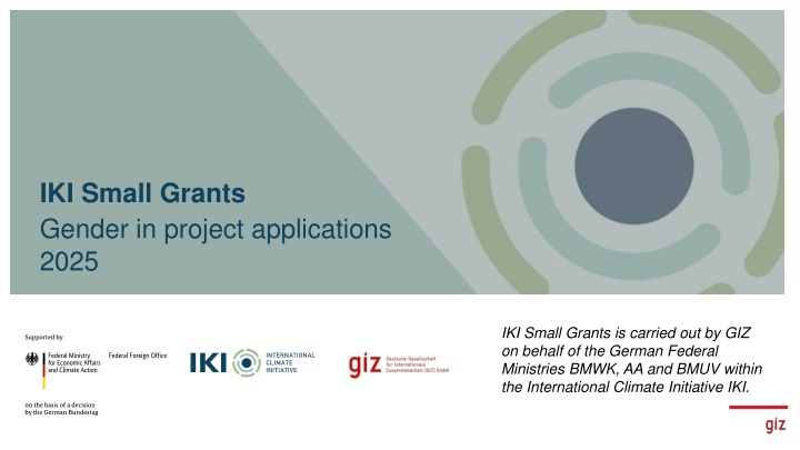 iki small grants gender in project applications n.w