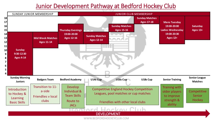 image result for bedford hockey club logo n.w