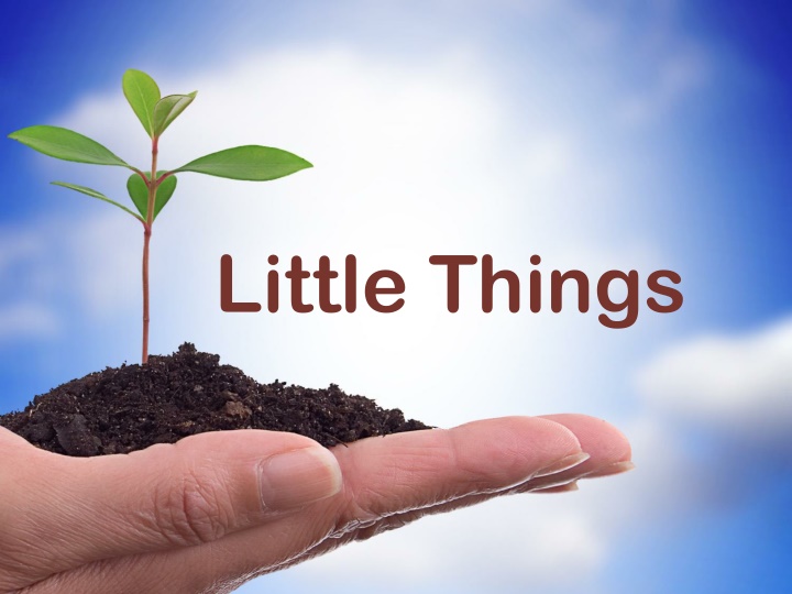 little things n.w
