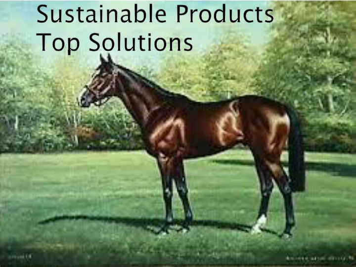 sustainable products top solutions n.w