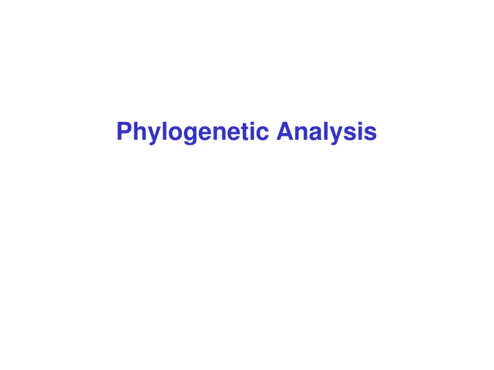 phylogenetic analysis n.w