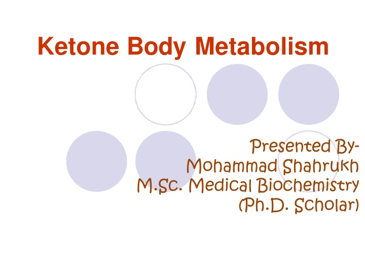 ketone body metabolism n.w