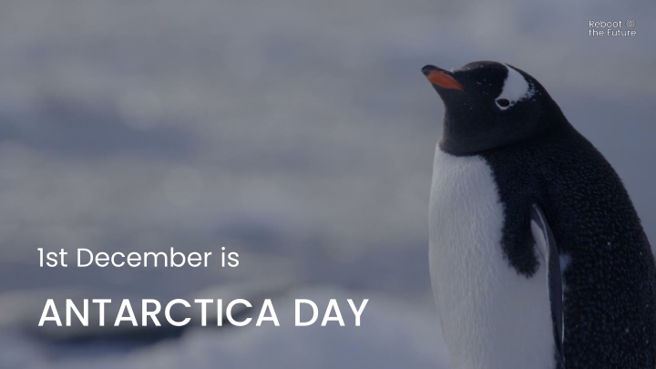 1st december is antarctica day n.w