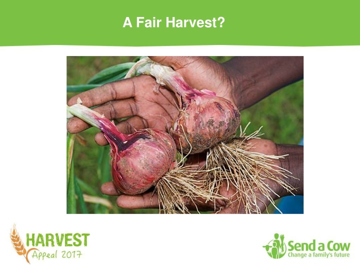 a fair harvest n.w