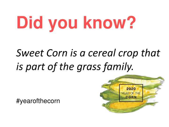 did you know n.w