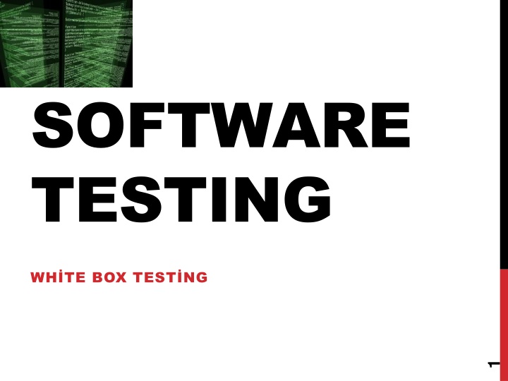 software testing n.w