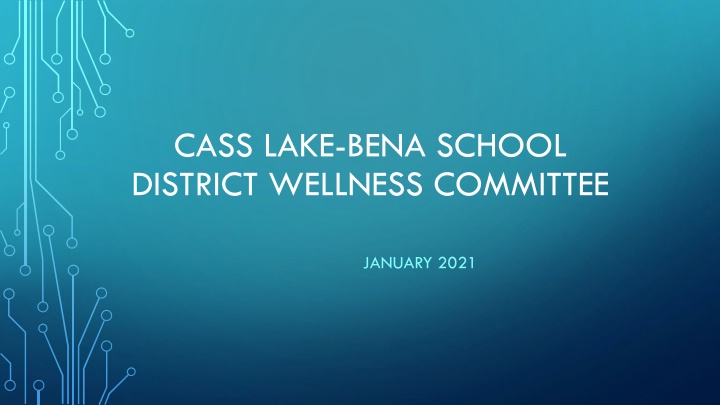 cass lake bena school district wellness committee n.w