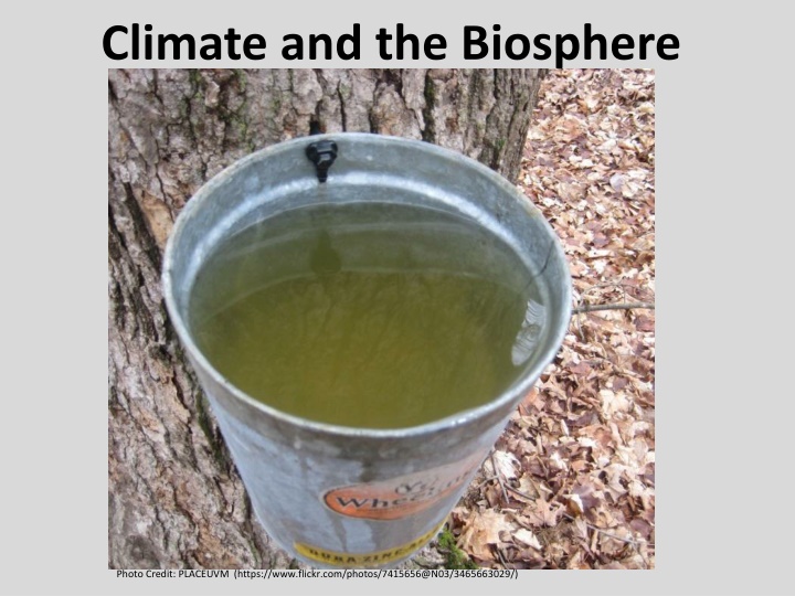 climate and the biosphere n.w