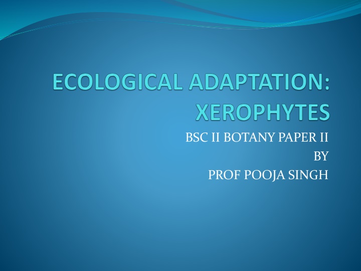 bsc ii botany paper ii n.w