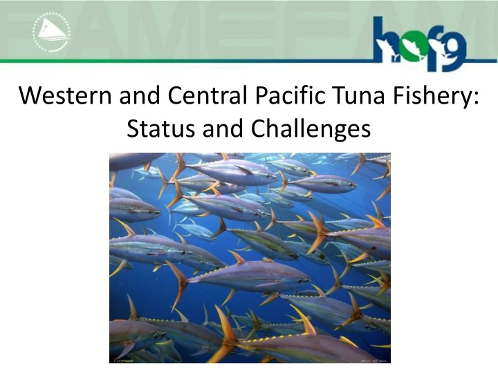 western and central pacific tuna fishery status n.w