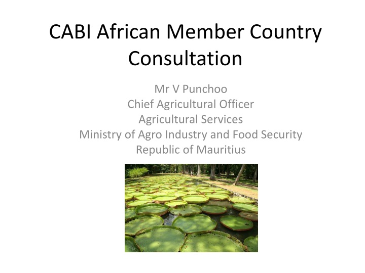 cabi african member country consultation n.w