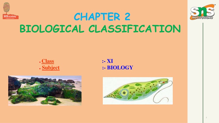 chapter 2 n.w