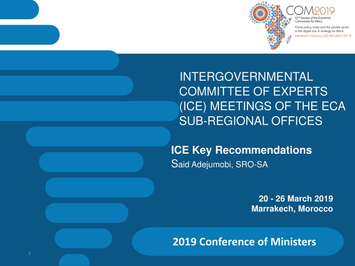 Intergovernmental Committee of Experts Key Recommendations