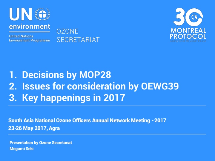 1 decisions by mop28 2 issues for consideration n.w