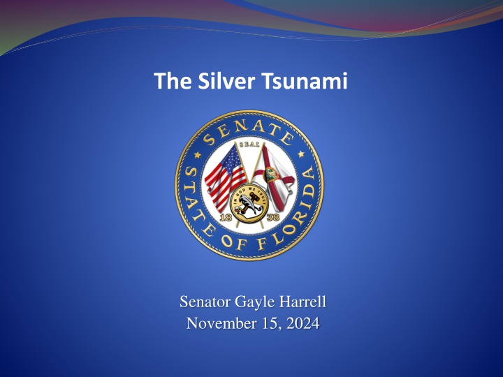 the silver tsunami n.w
