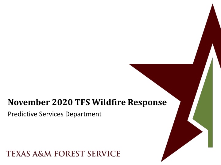 november 2020 tfs wildfire response n.w