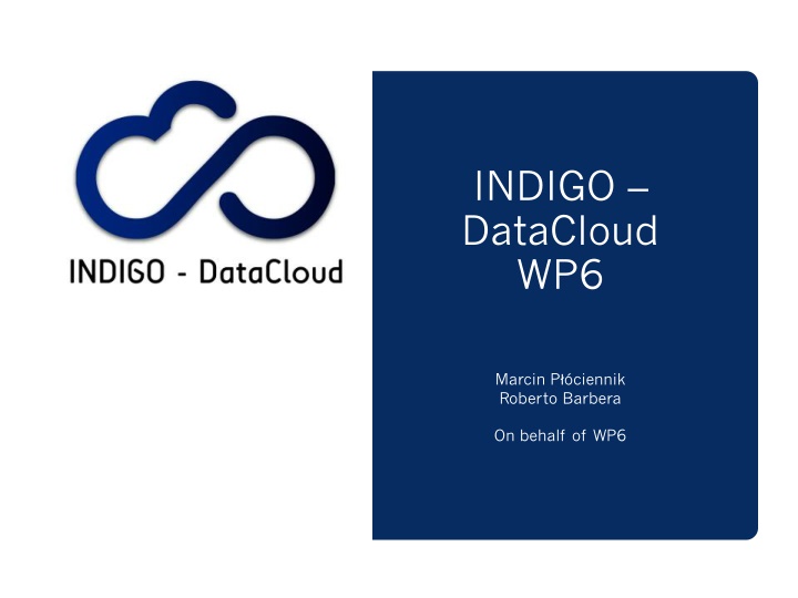indigo datacloud wp6 n.w