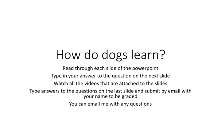how do dogs learn n.w