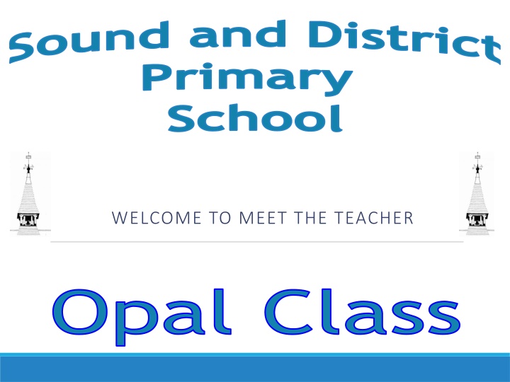 sound and district primary n.w